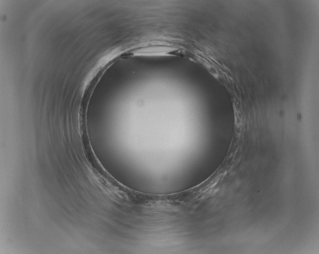 X0000069390244200606021639