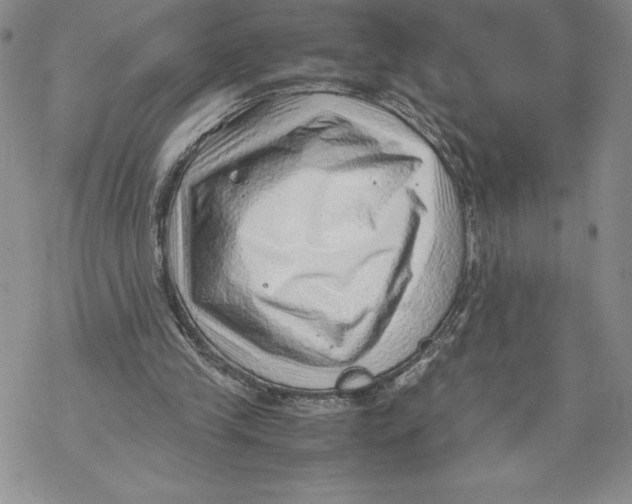 X0000069390245200606021639