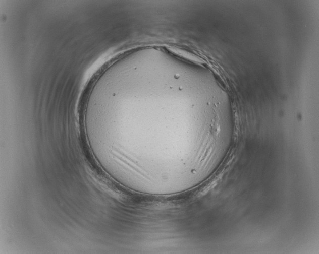 X0000069390246200606021639