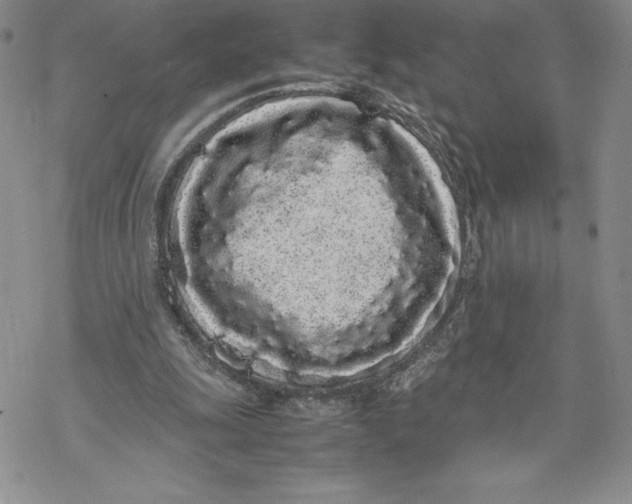 X0000069390247200606021639