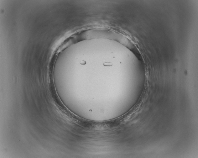 X0000069390248200606021639