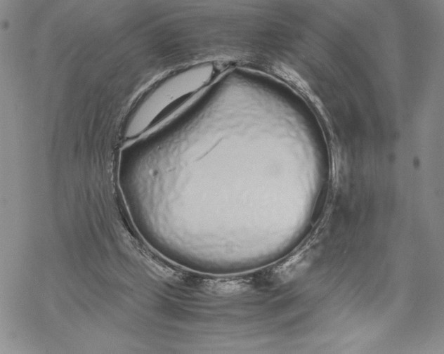 X0000069390249200606021639