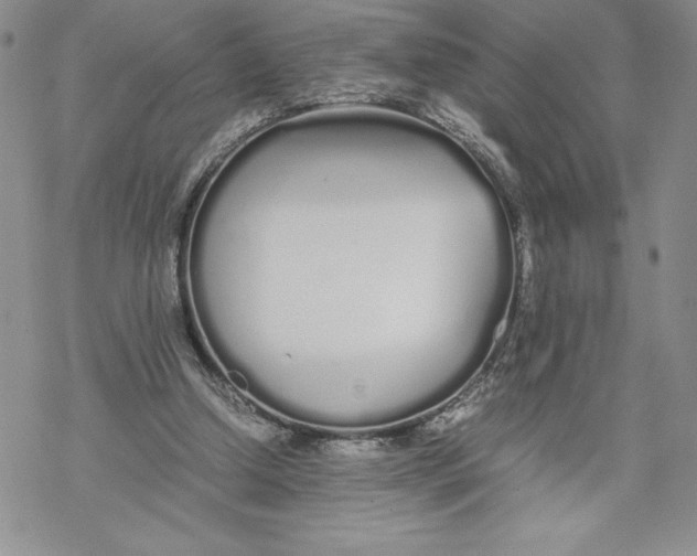 X0000069390250200606021639