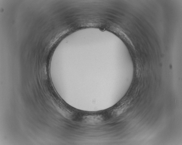 X0000069390251200606021639