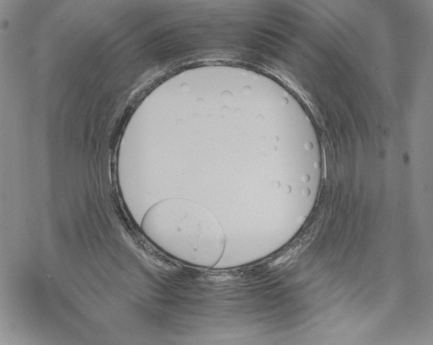 X0000069390253200606021639