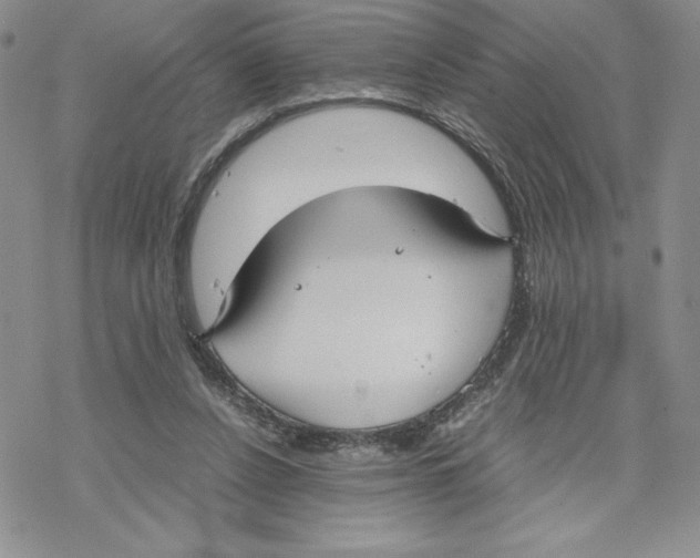 X0000069390256200606021639