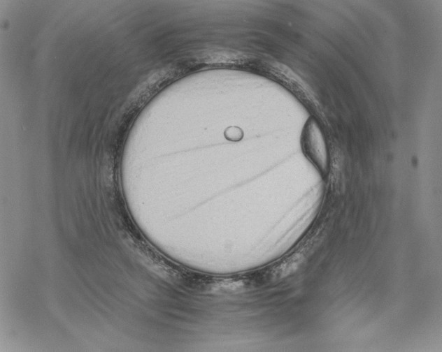 X0000069390257200606021639