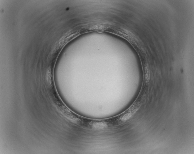 X0000069390258200606021639