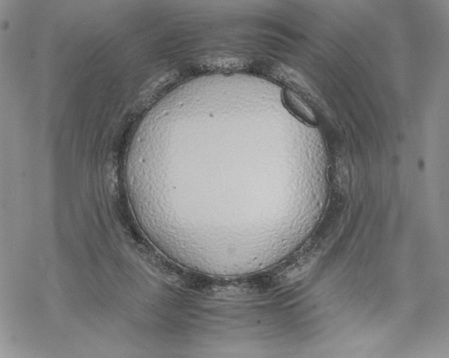 X0000069390259200606021639