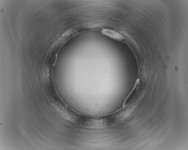 X0000069390260200606021639