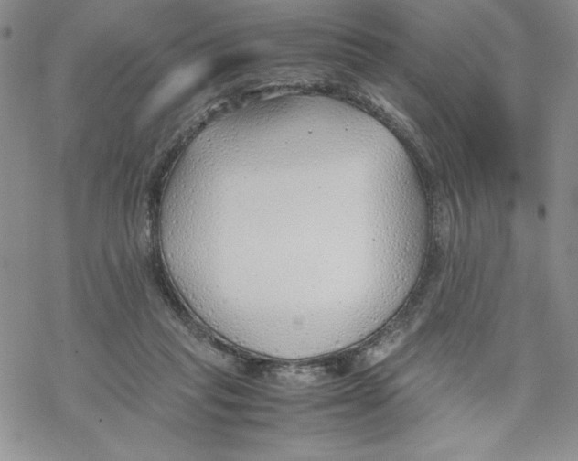 X0000069390261200606021639