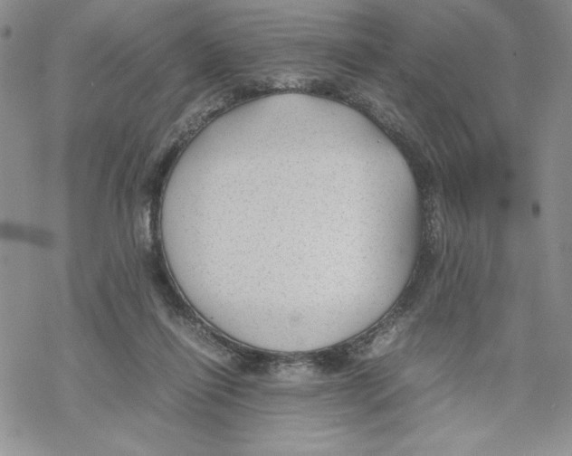 X0000069390262200606021639