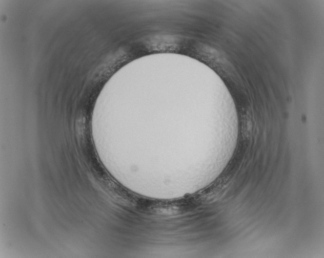 X0000069390263200606021639