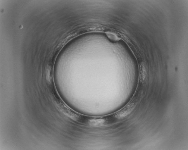 X0000069390266200606021639