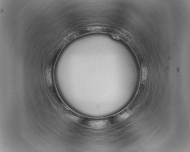 X0000069390267200606021639