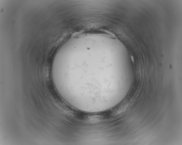 X0000069390268200606021639