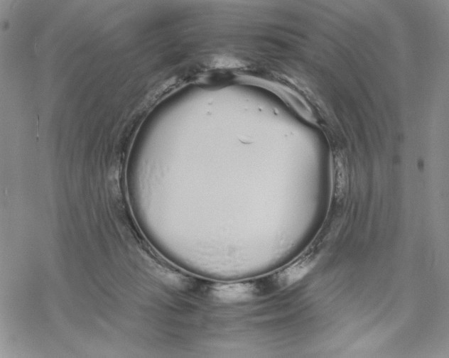 X0000069390269200606021639