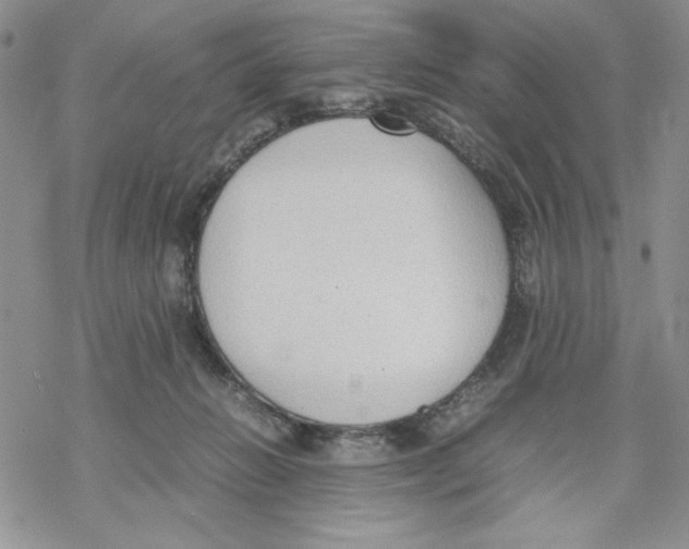 X0000069390270200606021639