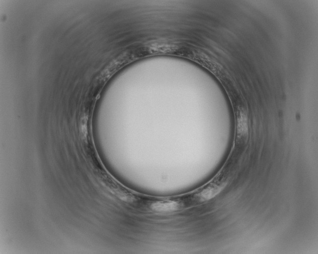 X0000069390271200606021639