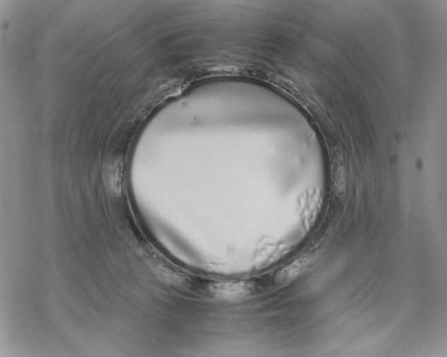 X0000069390273200606021639