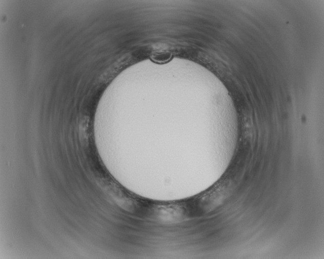 X0000069390275200606021639