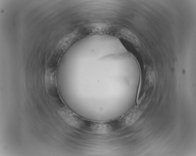 X0000069390276200606021639