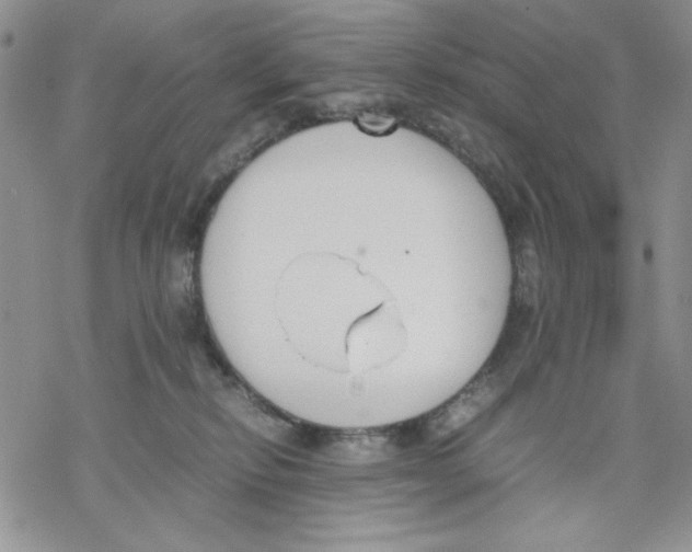 X0000069390278200606021639