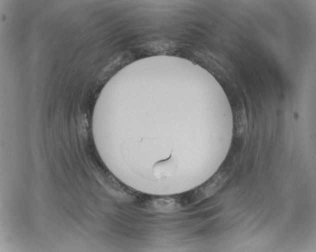 X0000069390279200606021639