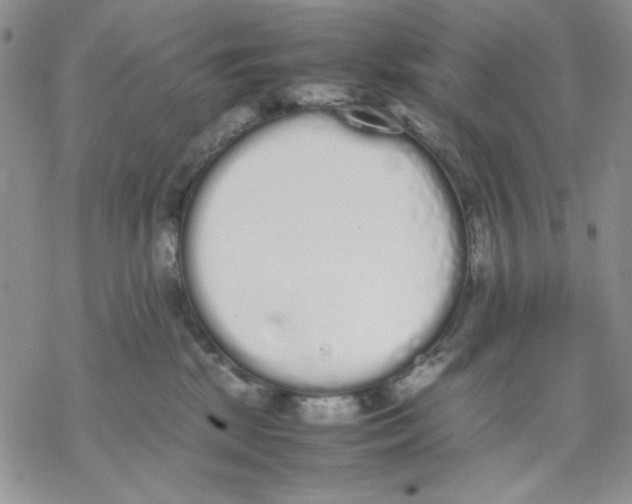 X0000069390281200606021639