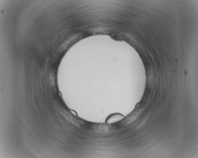 X0000069390282200606021639