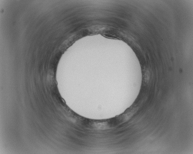 X0000069390283200606021639