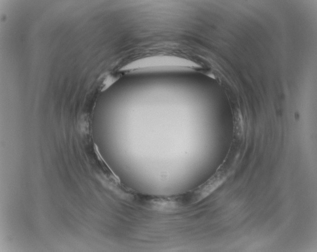 X0000069390284200606021639