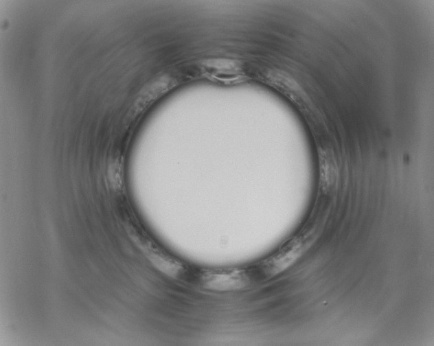 X0000069390285200606021639