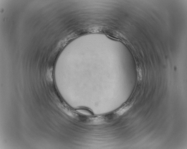 X0000069390286200606021639