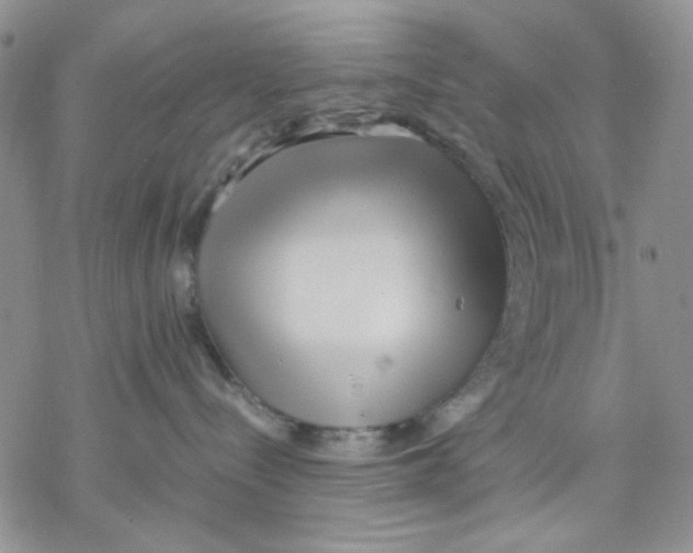 X0000069390288200606021639