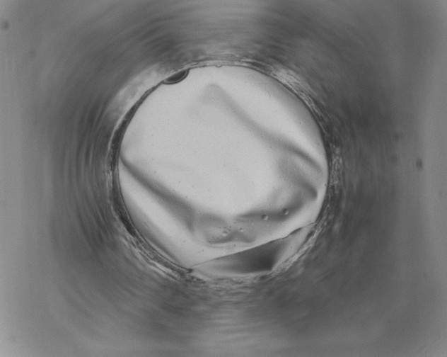 X0000069390290200606021638