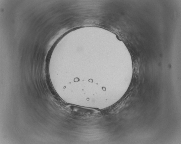 X0000069390292200606021638