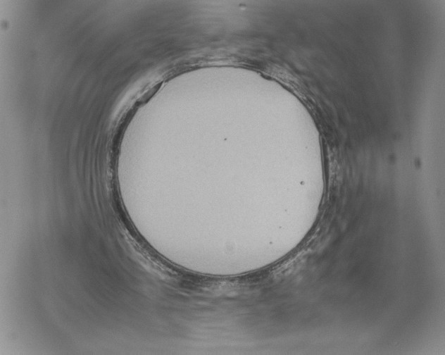 X0000069390293200606021638