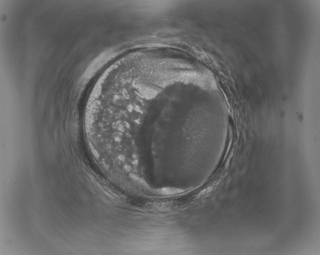 X0000069390295200606021638