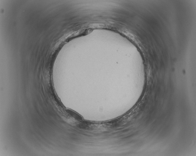 X0000069390297200606021638