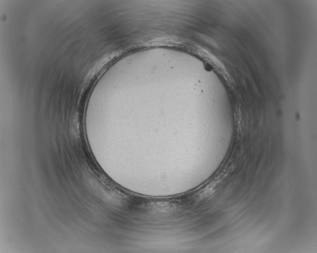 X0000069390298200606021638