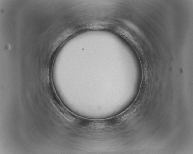 X0000069390299200606021638