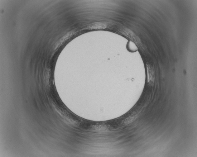 X0000069390300200606021638