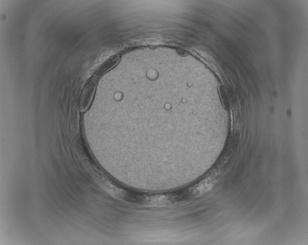 X0000069390301200606021638