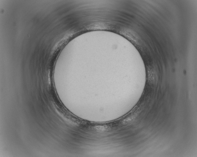 X0000069390302200606021638