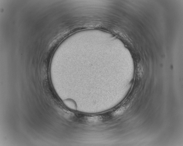 X0000069390303200606021638