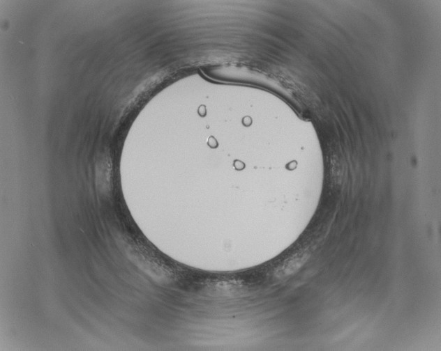 X0000069390304200606021638