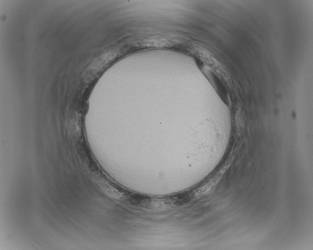 X0000069390305200606021638