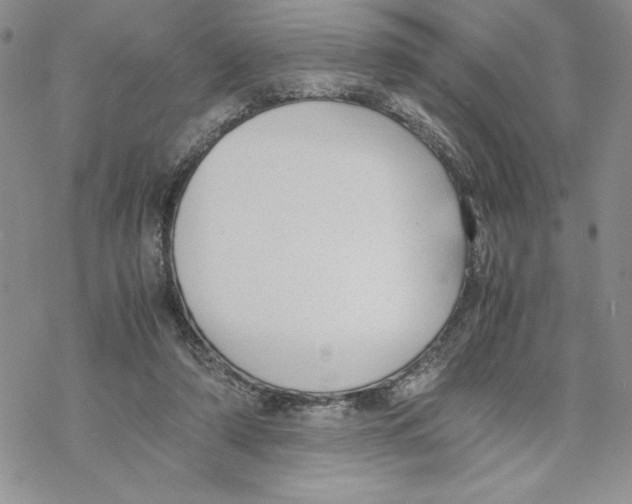 X0000069390306200606021638