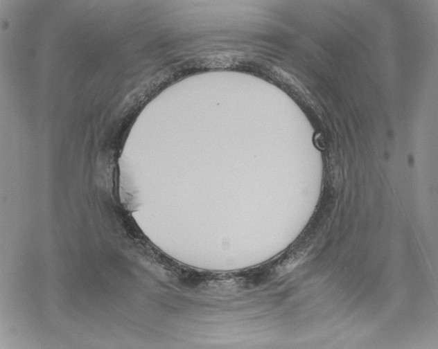 X0000069390307200606021638